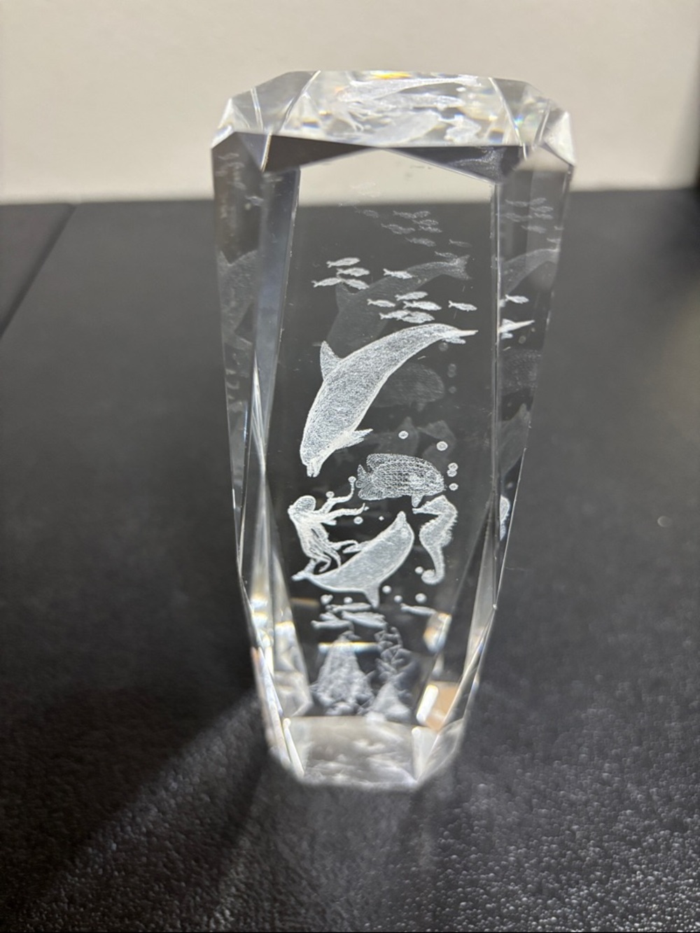 Sea Life Clear Heavy Paper Weight Decor Nautical - Picture 3 of 9